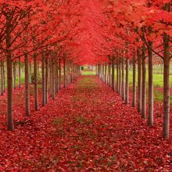 Septembre